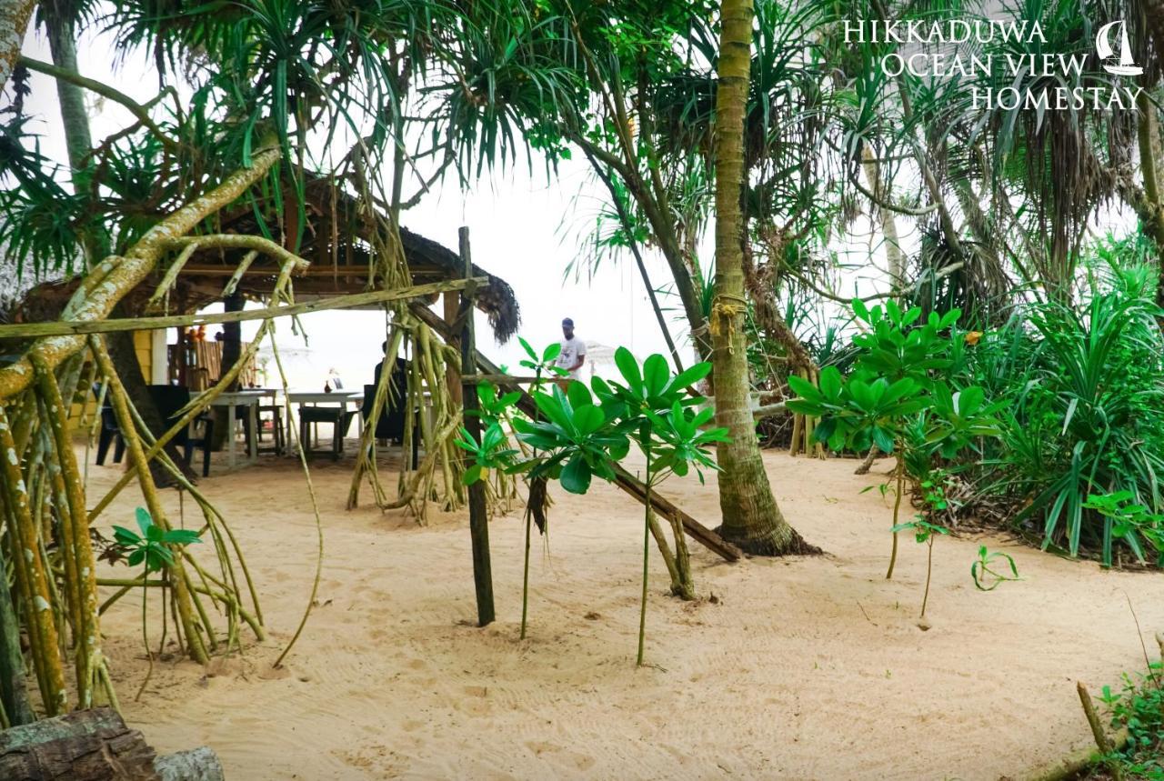 Hikkaduwa Ocean View Homestay Exteriér fotografie
