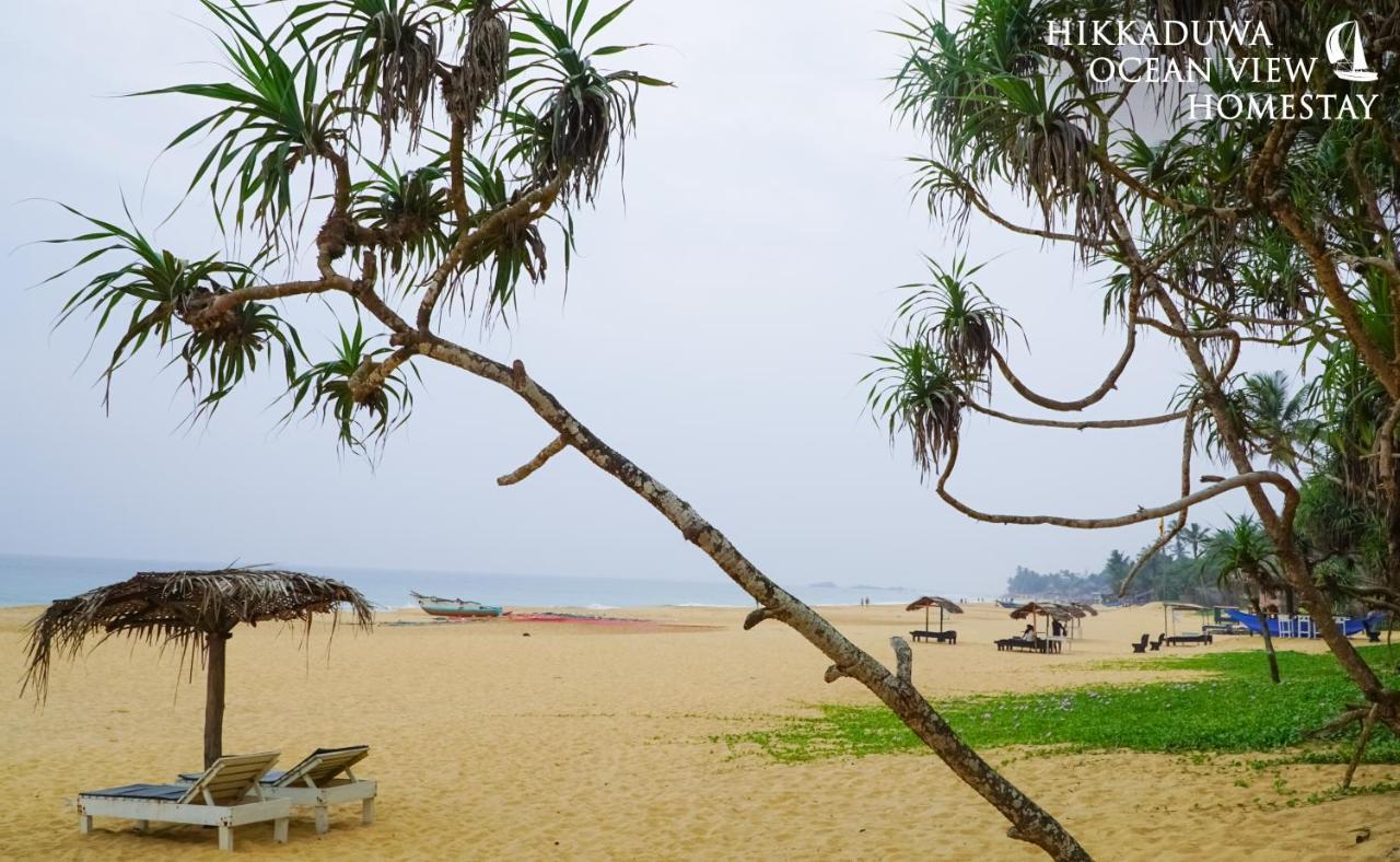Hikkaduwa Ocean View Homestay Exteriér fotografie